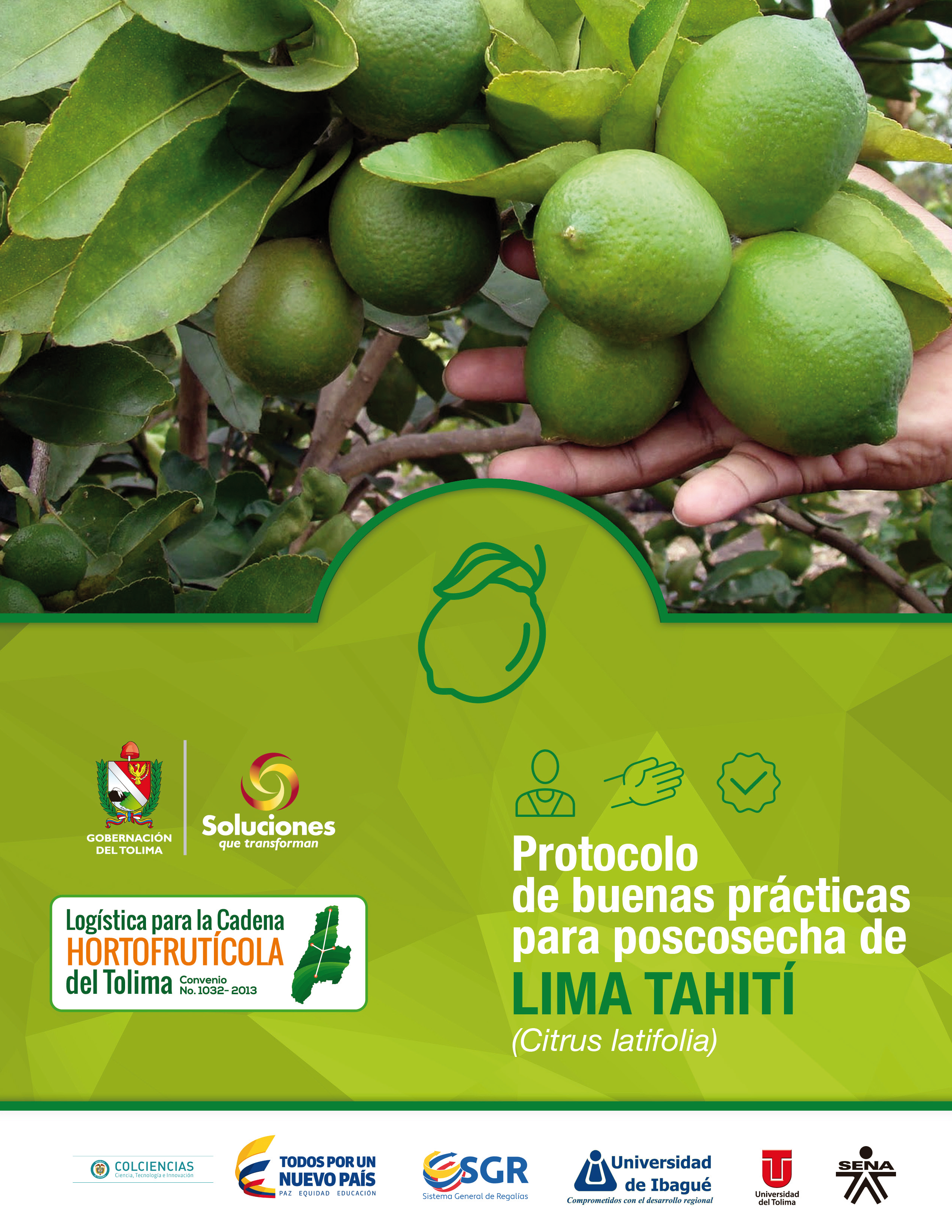 Cover of Protocolo de buenas prácticas para poscosecha de lima tahití